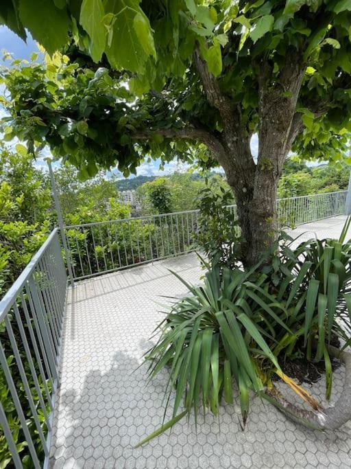Paisible Eden Standing Terrasse - Magnifique Vue - Esprit Nature En Pleine Ville Tulle Exterior foto