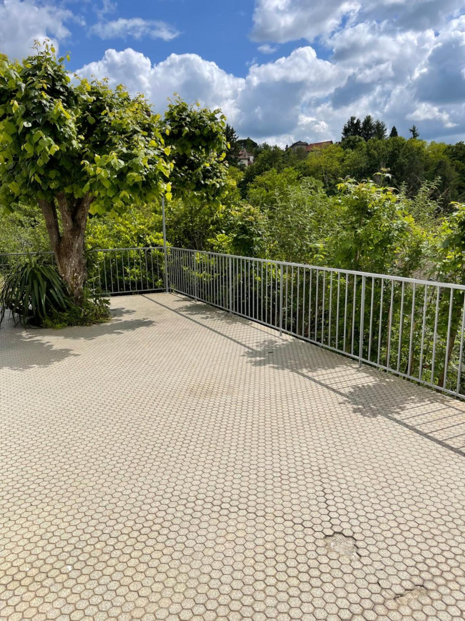 Paisible Eden Standing Terrasse - Magnifique Vue - Esprit Nature En Pleine Ville Tulle Exterior foto